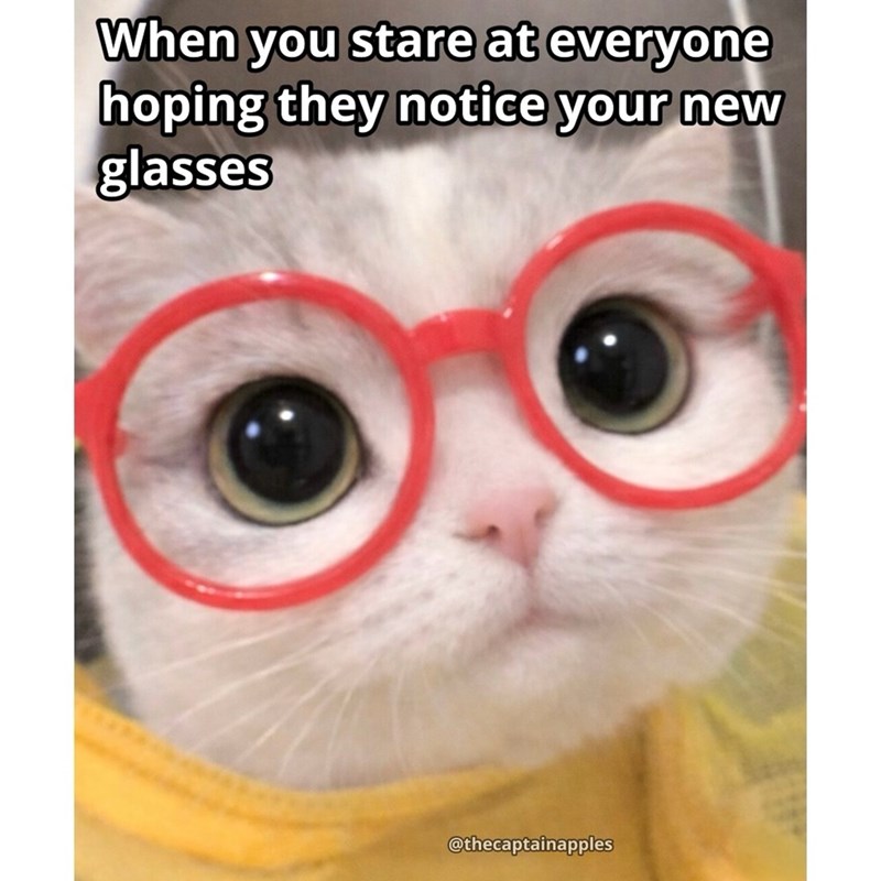 When you stare at everyone hoping they notice your new glasses @thecaptainapples