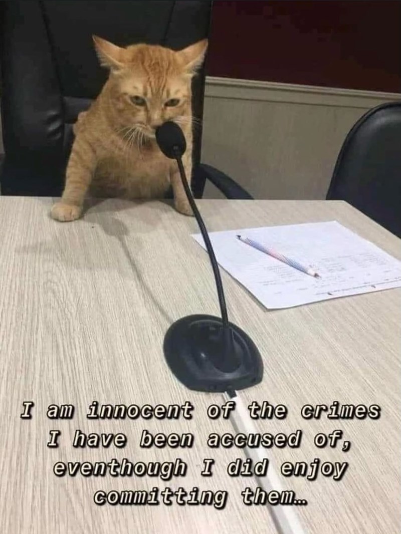 I am innocent of the crimes I have been accused of, eventhough I did enjoy committing them...