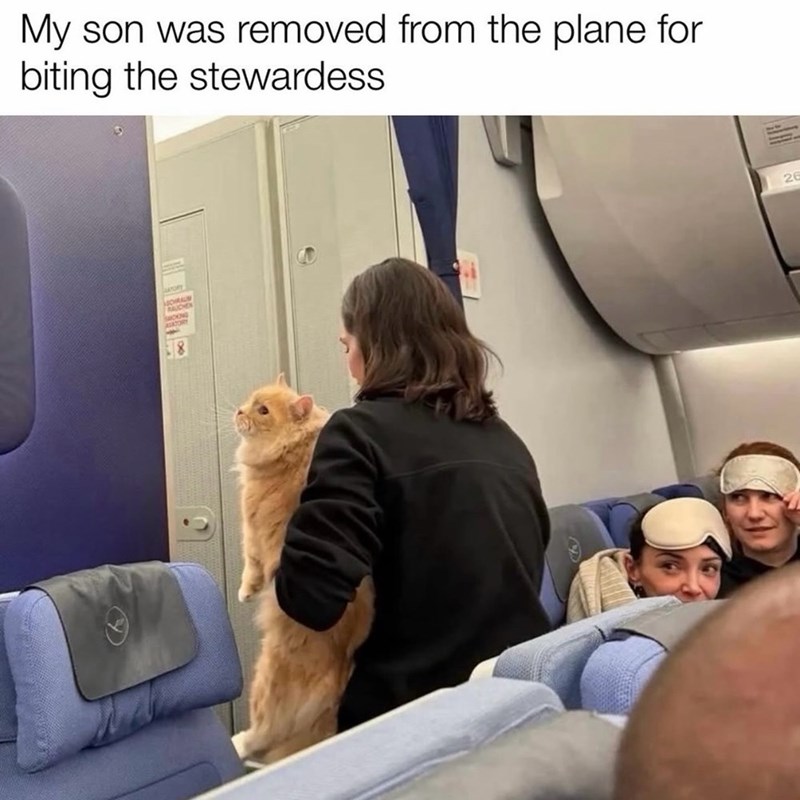 My son was removed from the plane for biting the stewardess MOHAM woo 26