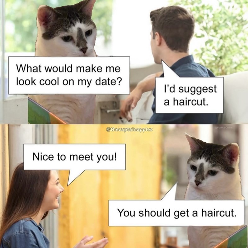 What would make me look cool on my date? I'd suggest a haircut. @thecaptainapples Nice to meet you! PunHubOrme You should get a haircut.
