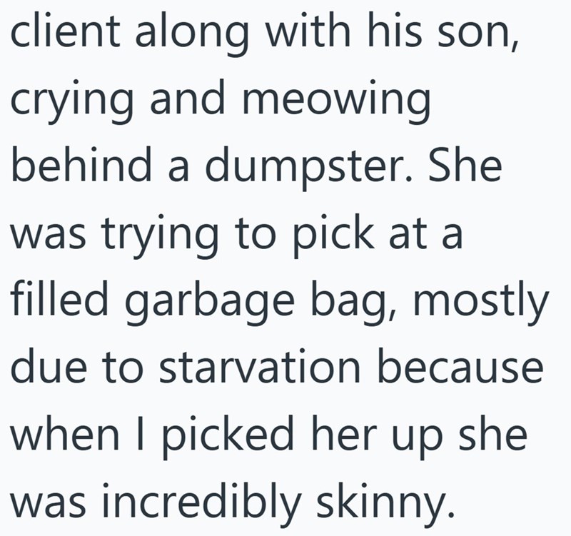client along with his son, crying and meowing behind a dumpster. She was trying to pick at a filled garbage bag, mostly due to starvation because when I picked her up she was incredibly skinny.