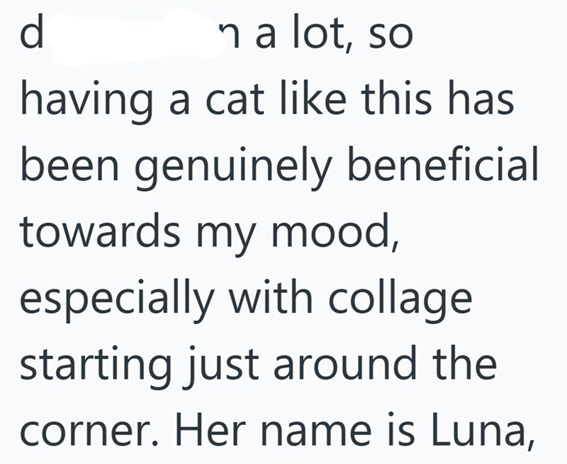 d n a lot, so having a cat like this has been genuinely beneficial towards my mood, especially with collage starting just around the corner. Her name is Luna,