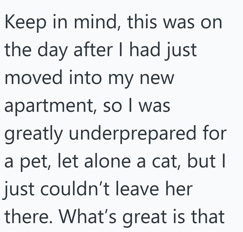 Keep in mind, this was on the day after I had just moved into my new apartment, so I was greatly underprepared for a pet, let alone a cat, but I just couldn't leave her there. What's great is that