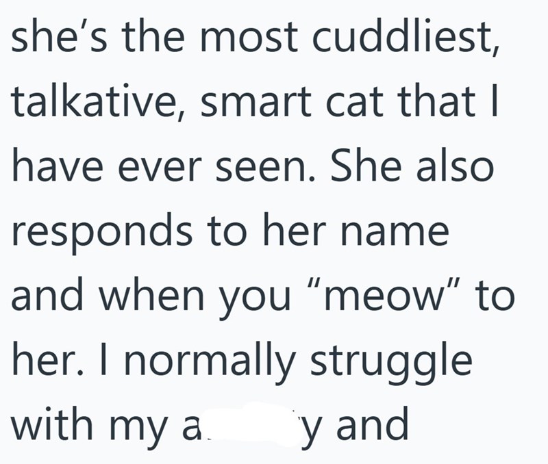 she's the most cuddliest, talkative, smart cat that I have ever seen. She also responds to her name and when you "meow" to her. I normally struggle with my a y and