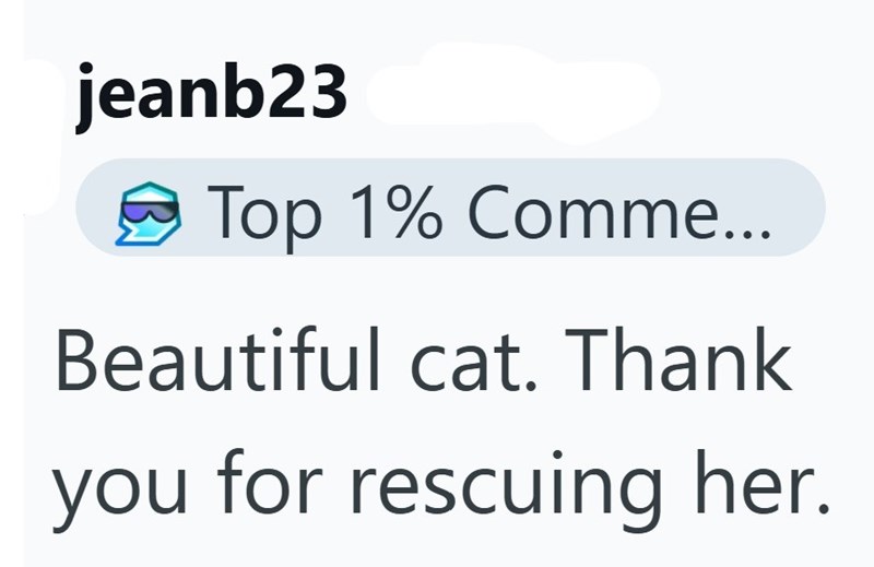 jeanb23 Top 1% Comme... Beautiful cat. Thank you for rescuing her.