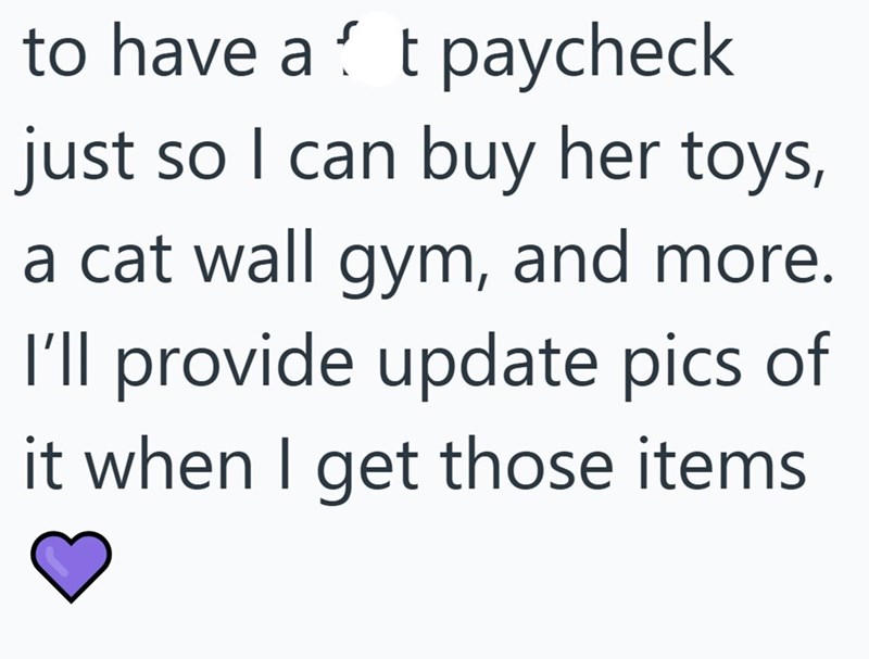 to have a t paycheck just so I can buy her toys, a cat wall gym, and more. I'll provide update pics of it when I get those items
