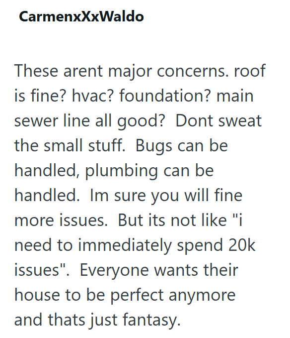 CarmenxXxWaldo These arent major concerns. roof is fine? hvac? foundation? main sewer line all good? Dont sweat the small stuff. Bugs can be handled, plumbing can be handled. Im sure you will fine more issues. But its not like "i need to immediately spend 20k issues". Everyone wants their house to be perfect anymore and thats just fantasy.