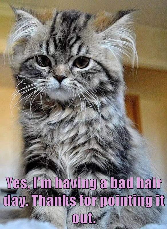 Yes, I'm having a bad hair day. Thanks for pointing it out