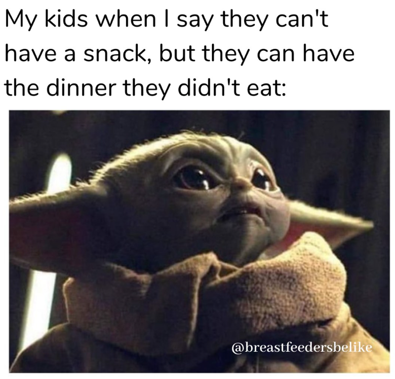 My kids when I say they can't have a snack, but they can have the dinner they didn't eat: @breastfeedersbelike