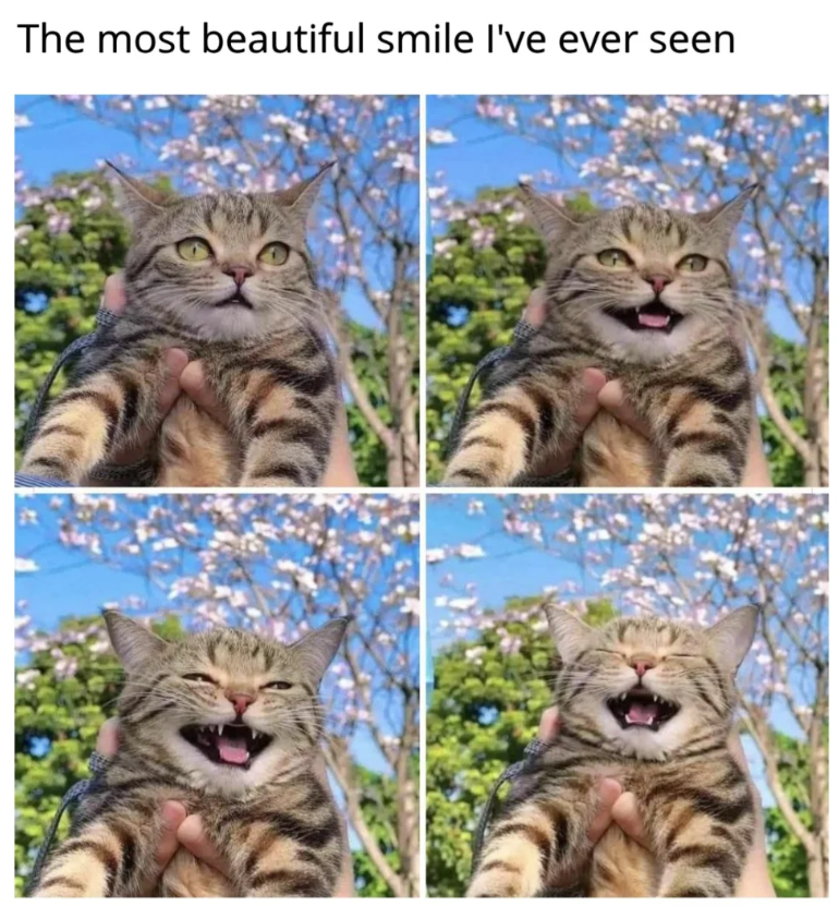The most beautiful smile I've ever seen