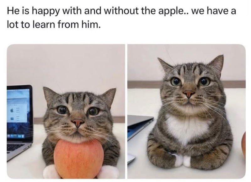 He is happy with and without the apple.. we have a lot to learn from him.