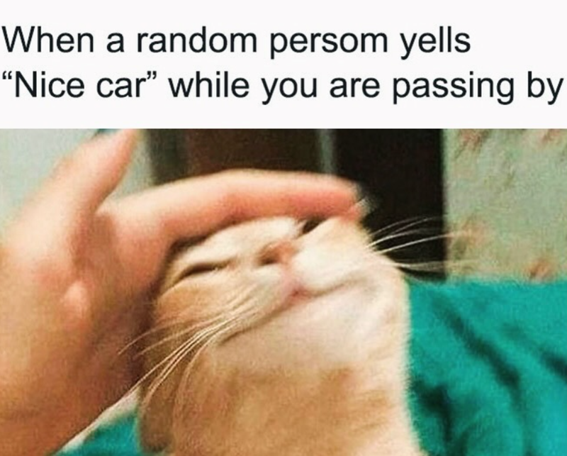 When a random persom yells "Nice car" while you are passing by