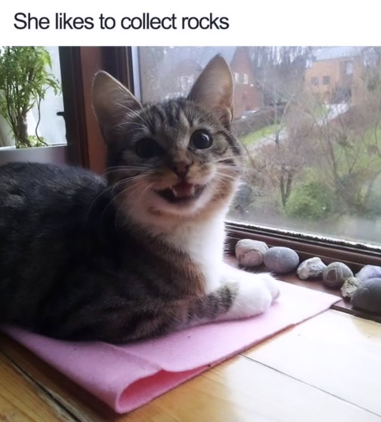 She likes to collect rocks