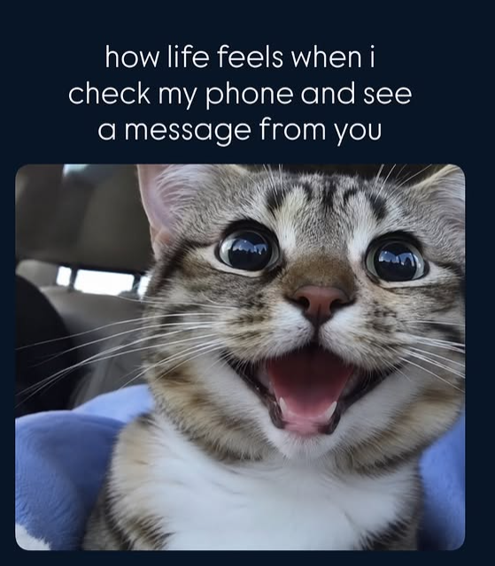 how life feels when i check my phone and see a message from you