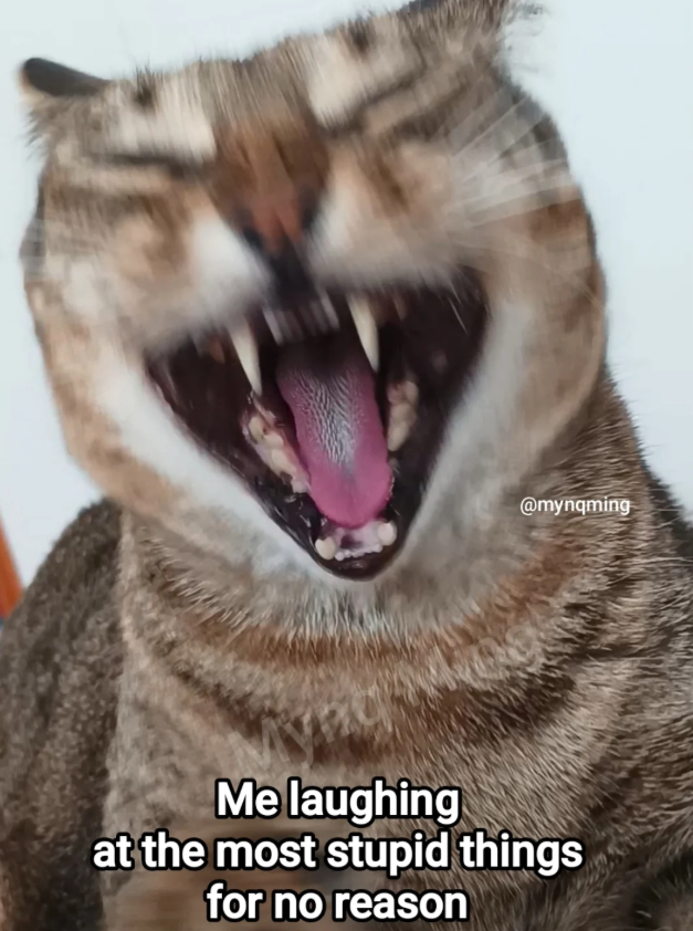 @mynqming Me laughing at the most stupid things for no reason