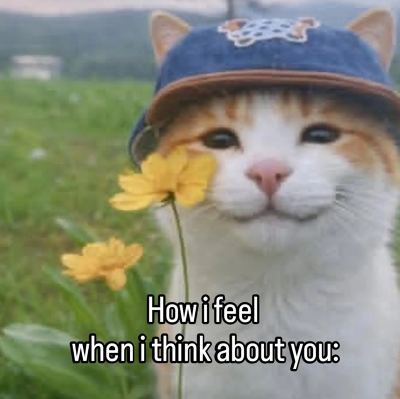 How i feel when i think about you: