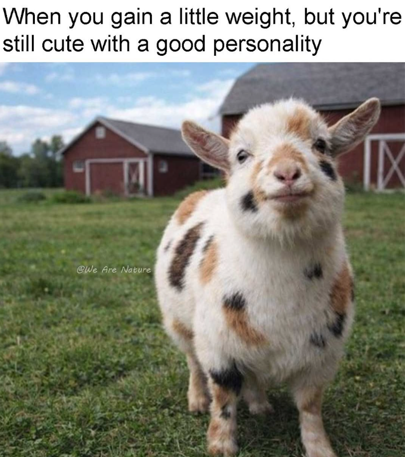 When you gain a little weight, but you're still cute with a good personality @We Are Nature