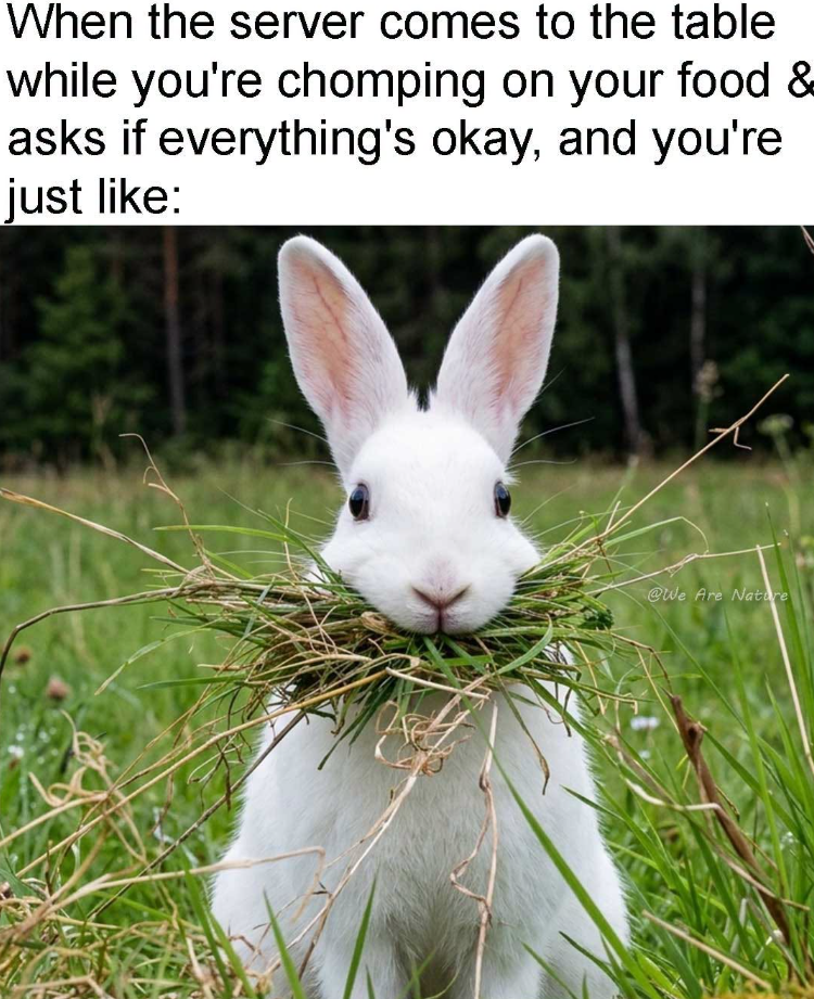 When the server comes to the table while you're chomping on your food & asks if everything's okay, and you're just like: @We Are Nature