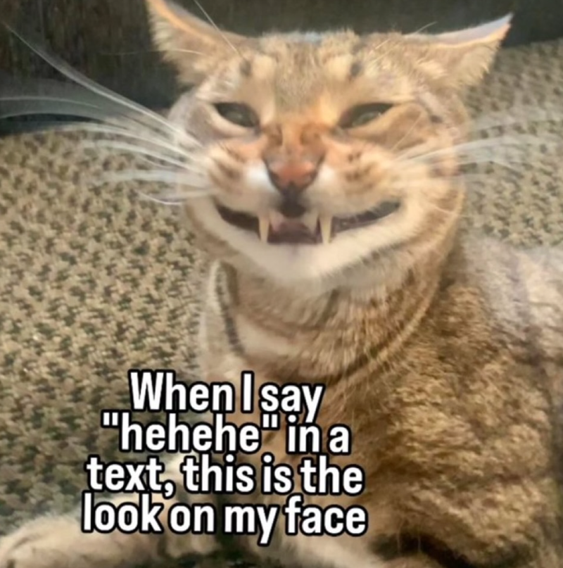 When I say "hehehe" in a text, this is the look on my face