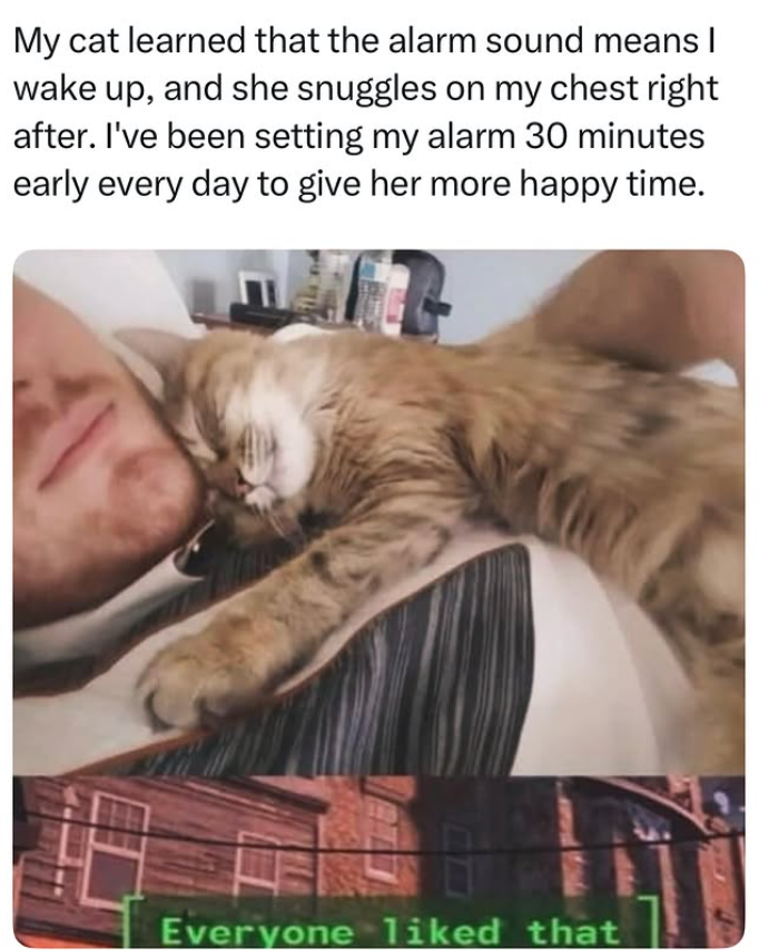 My cat learned that the alarm sound means I wake up, and she snuggles on my chest right after. I've been setting my alarm 30 minutes early every day to give her more happy time. Everyone liked that