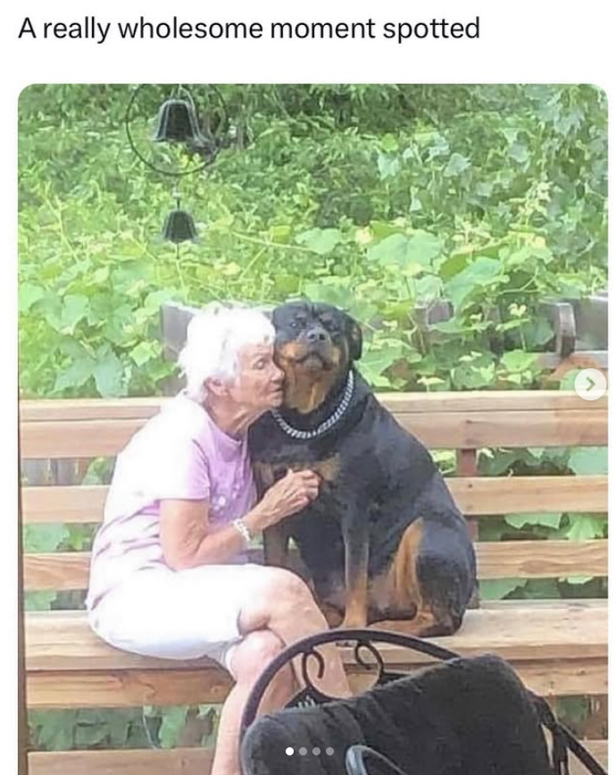 A really wholesome moment spotted >