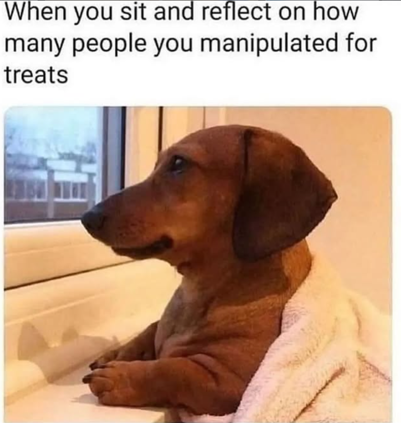 When you sit and reflect on how many people you manipulated for treats H