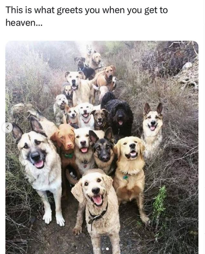 This is what greets you when you get to heaven...