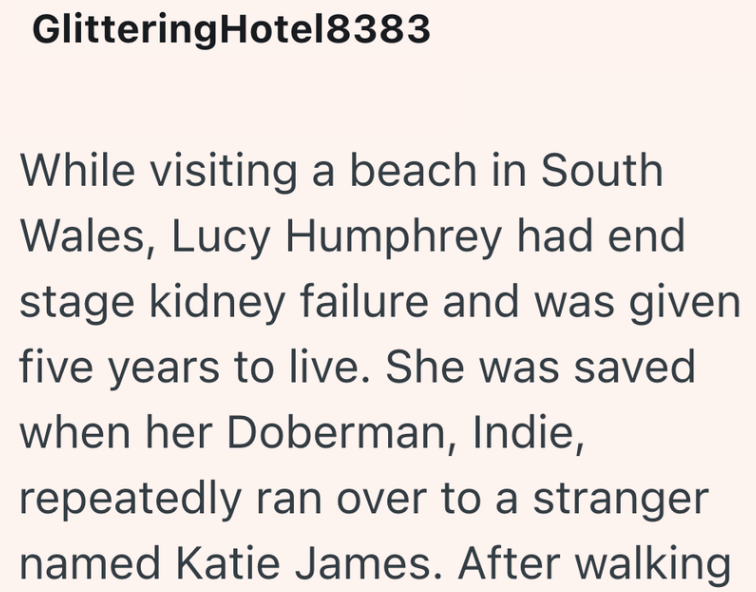 Glittering Hotel8383 While visiting a beach in South Wales, Lucy Humphrey had end stage kidney failure and was given five years to live. She was saved when her Doberman, Indie, repeatedly ran over to a stranger named Katie James. After walking