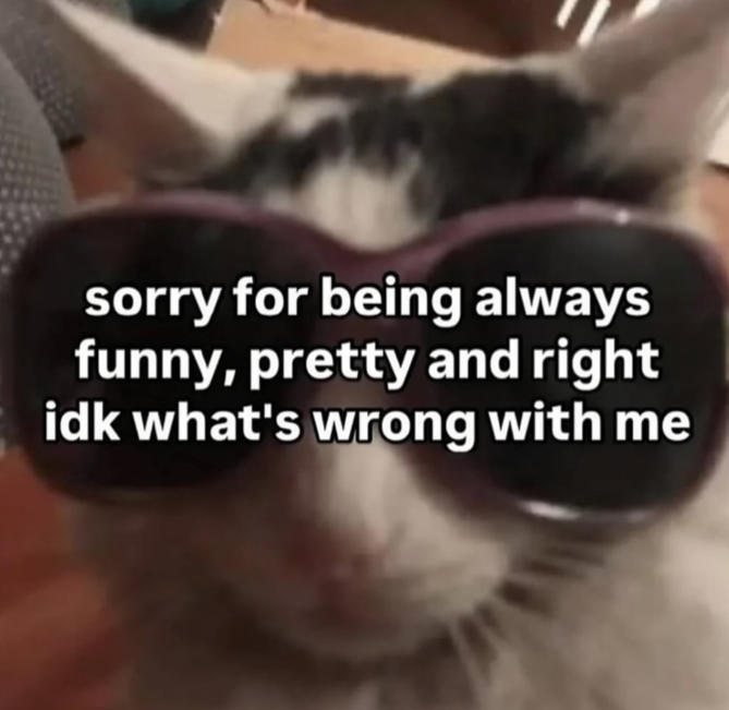 sorry for being always funny, pretty and right idk what's wrong with me