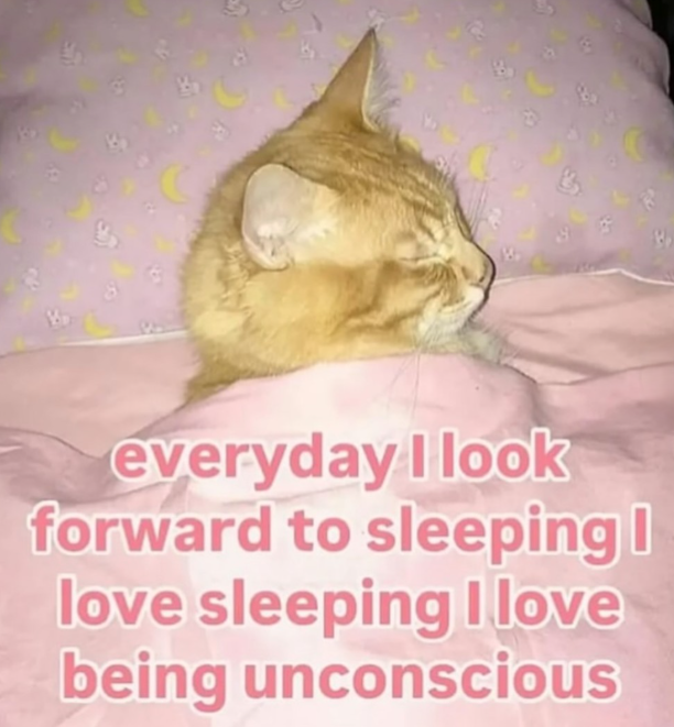 everyday I look forward to sleeping | love sleeping I love being unconscious