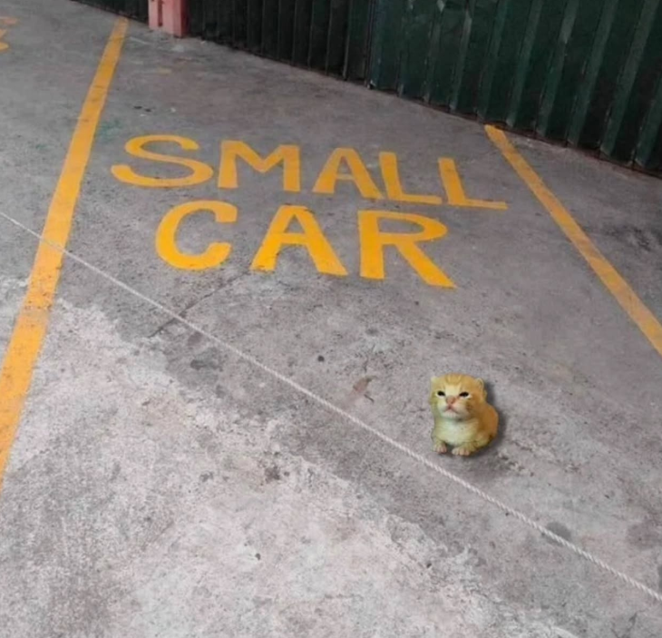 SMALL CAR