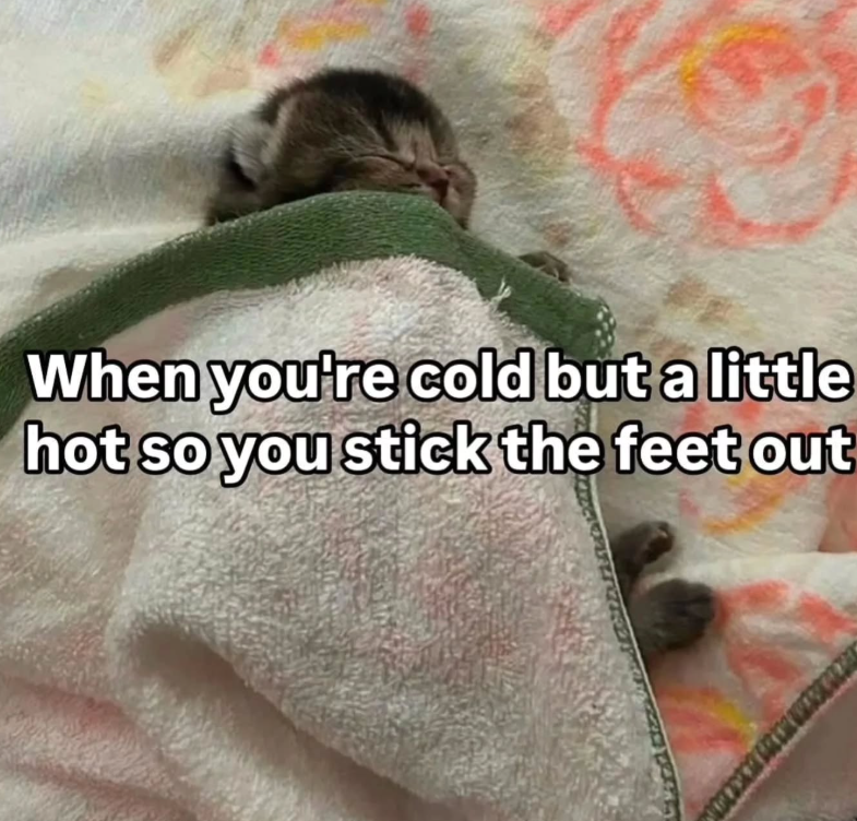 When you're cold but a little hot so you stick the feet out