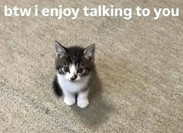 btw i enjoy talking to you