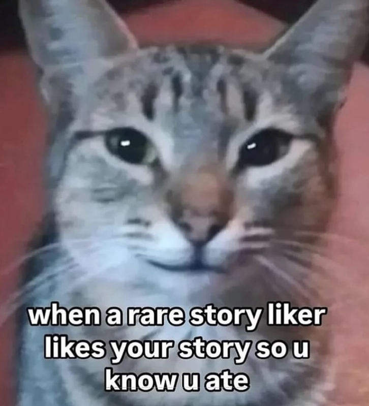 when a rare story liker likes your story so u know u ate