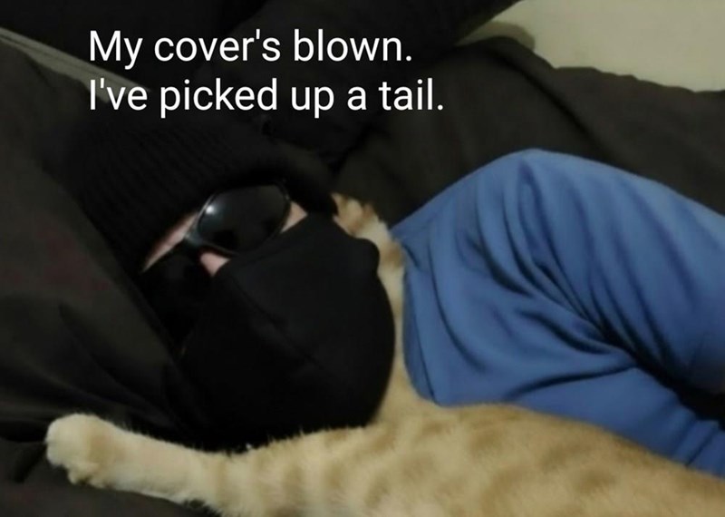 My cover's blown. I've picked up a tail.