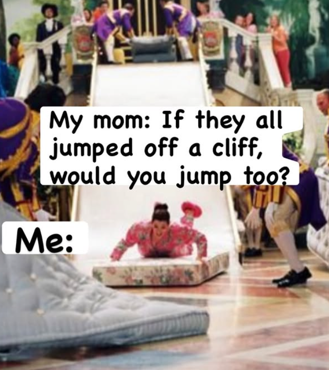 My mom: If they all jumped off a cliff, would you jump too? Me: