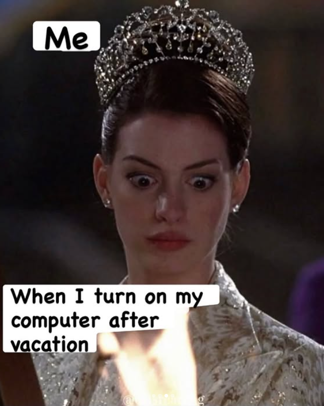 Me When I turn on my computer after vacation