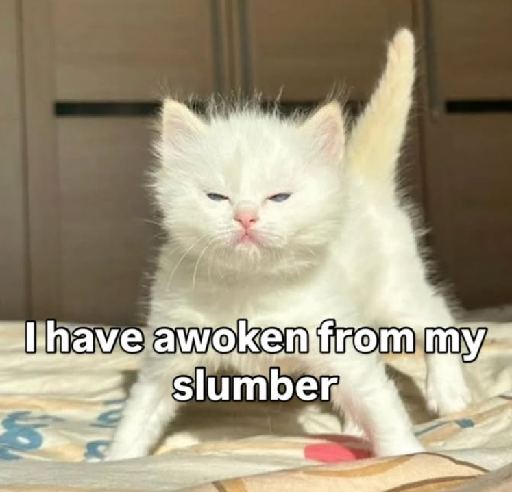I have awoken from my slumber