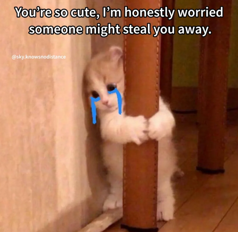 You're so cute, I'm honestly worried someone might steal you away. @sky.knowsnodistance