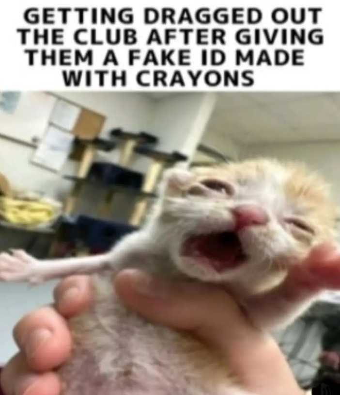GETTING DRAGGED OUT THE CLUB AFTER GIVING THEM A FAKE ID MADE WITH CRAYONS