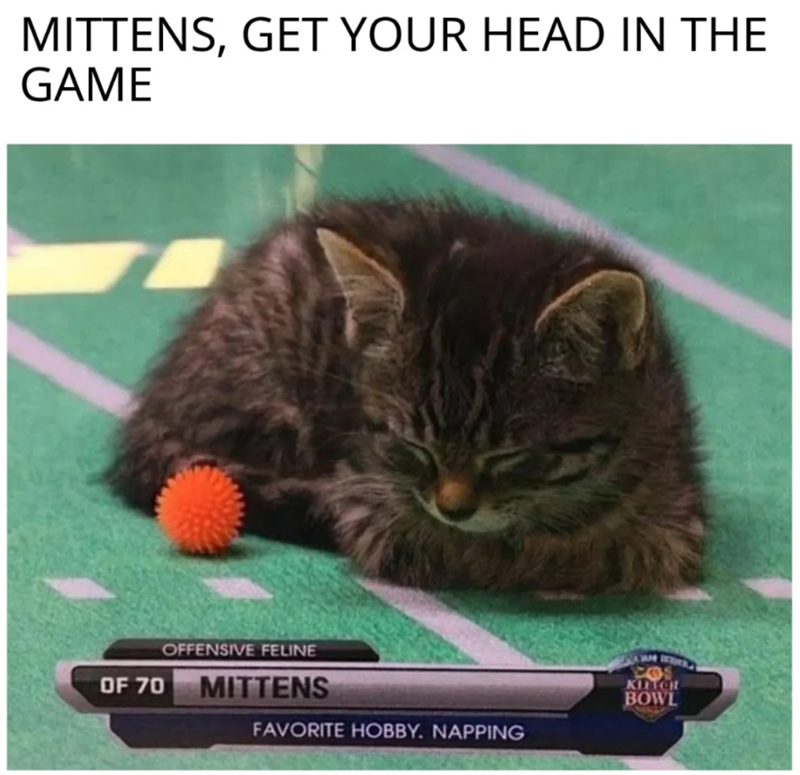 MITTENS, GET YOUR HEAD IN THE GAME OF 70 OFFENSIVE FELINE MITTENS FAVORITE HOBBY. NAPPING KITCH BOWL
