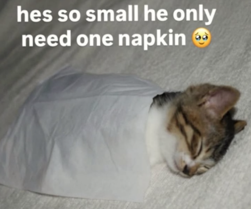 hes so small he only need one napkin →
