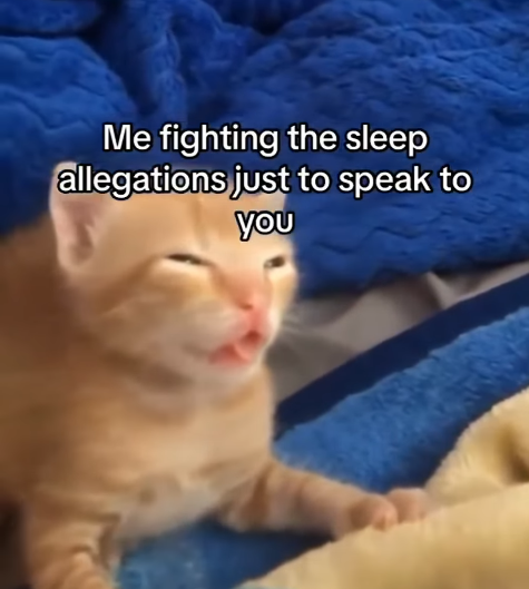 Me fighting the sleep allegations just to speak to you