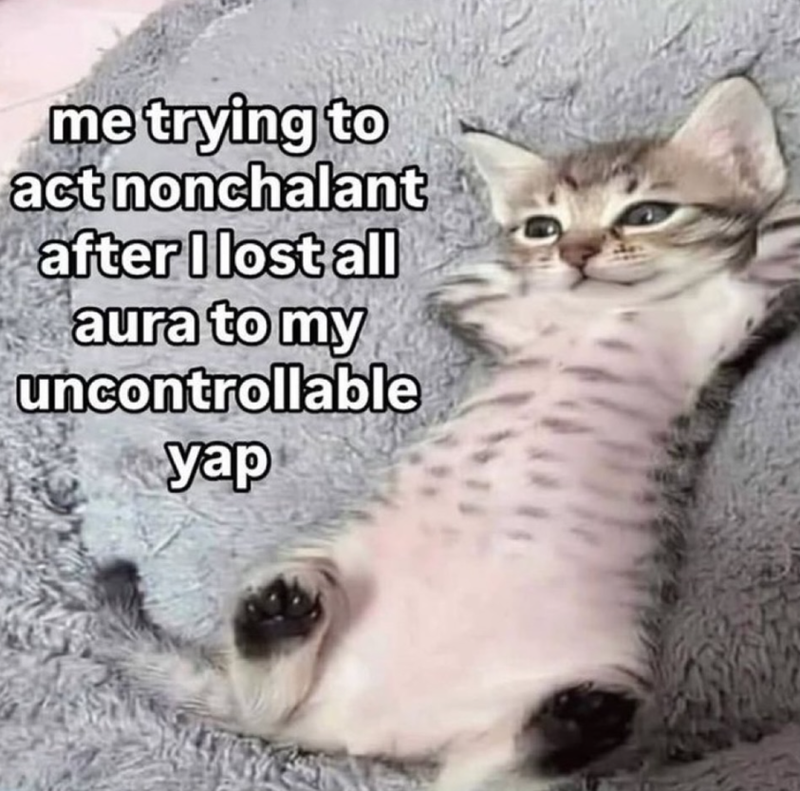 me trying to act nonchalant after I lost all aura to my uncontrollable yap