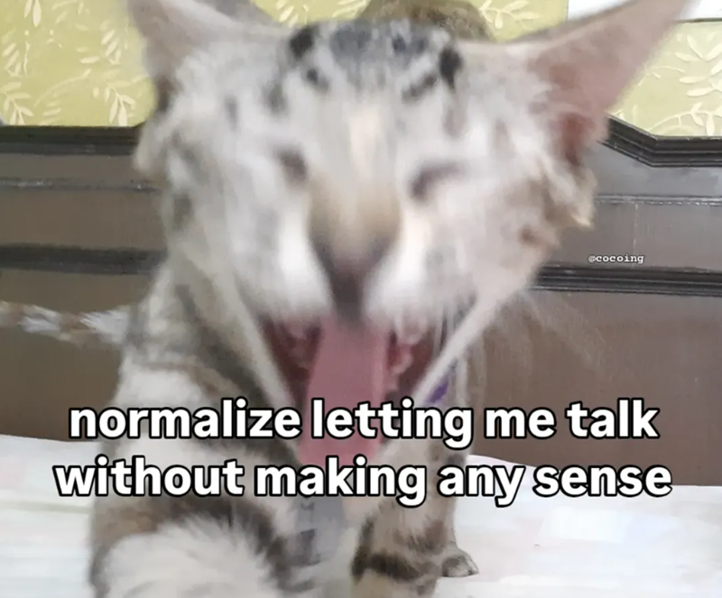 @cocoing normalize letting me talk without making any sense