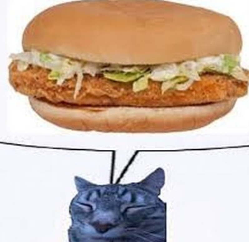 Cheezburger Image 10657344512