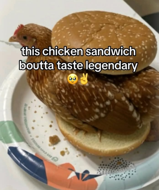 this chicken sandwich boutta taste legendary 60