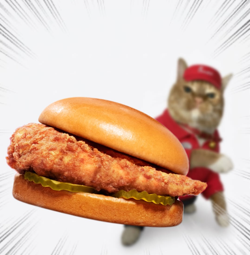 Cheezburger Image 10657347840