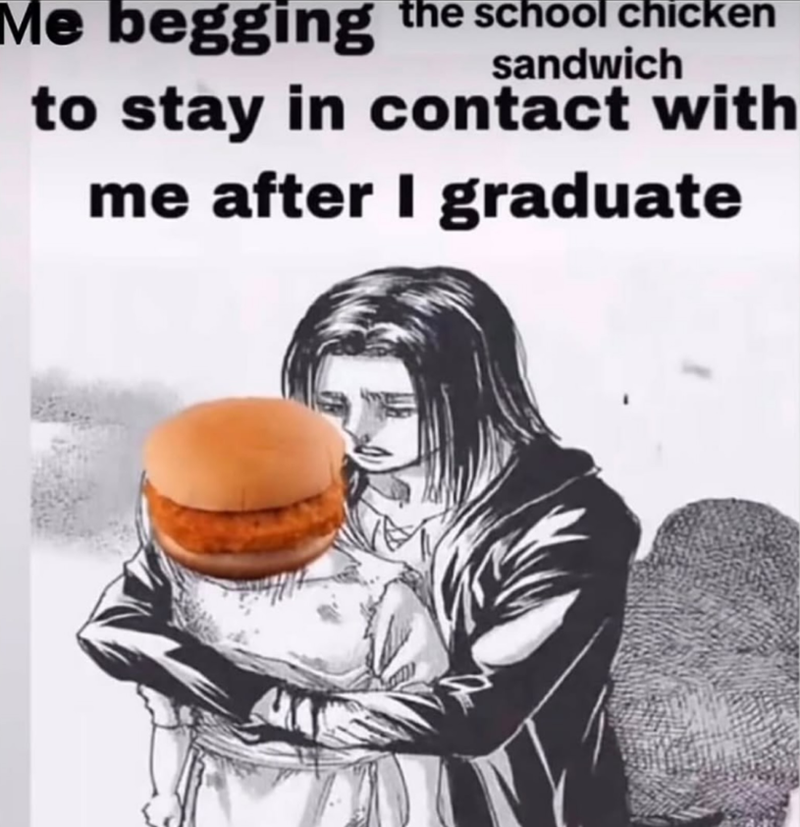 Me begging the school chicken sandwich to stay in contact with me after I graduate