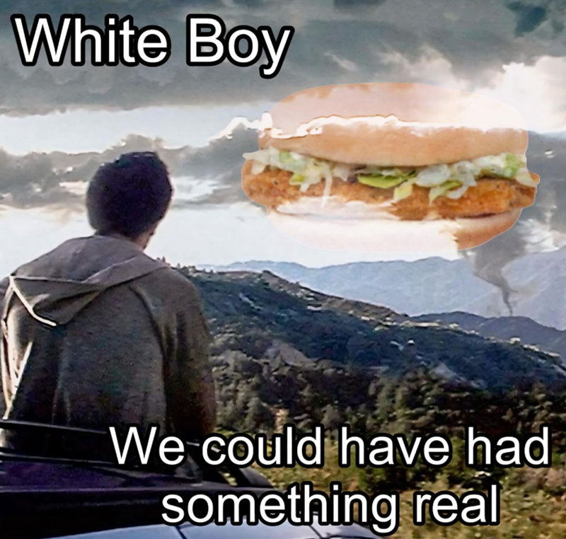 White Boy We could have had something real